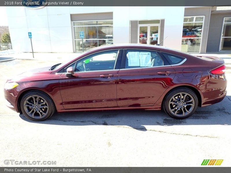 Burgundy Velvet / Ebony 2018 Ford Fusion SE