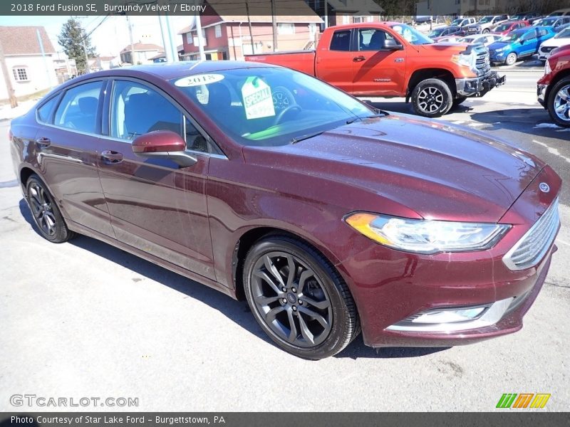 Burgundy Velvet / Ebony 2018 Ford Fusion SE