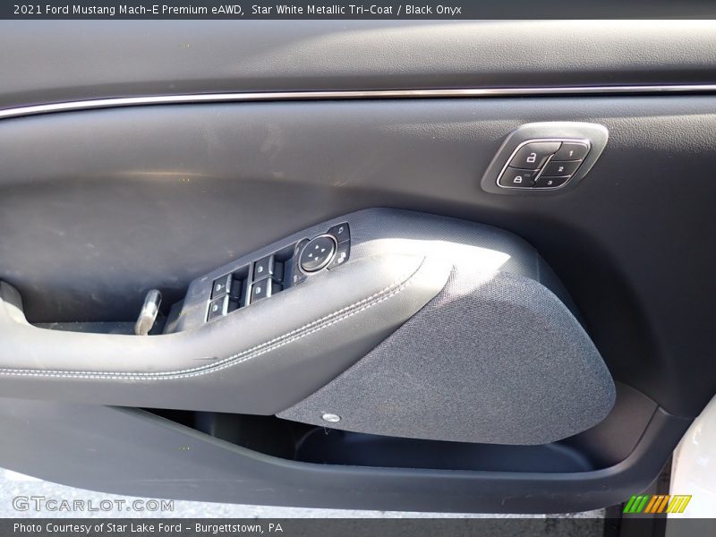 Door Panel of 2021 Mustang Mach-E Premium eAWD