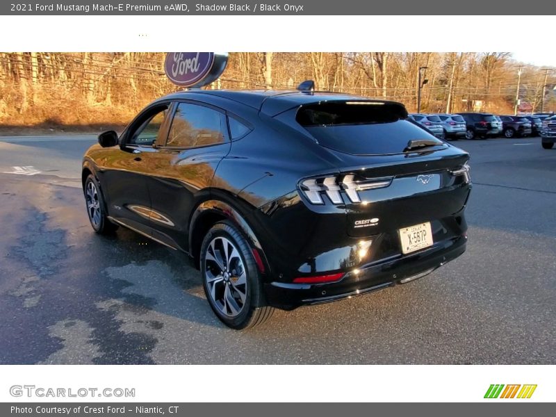 Shadow Black / Black Onyx 2021 Ford Mustang Mach-E Premium eAWD