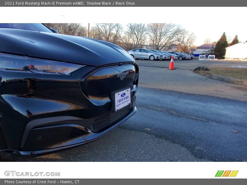 Shadow Black / Black Onyx 2021 Ford Mustang Mach-E Premium eAWD