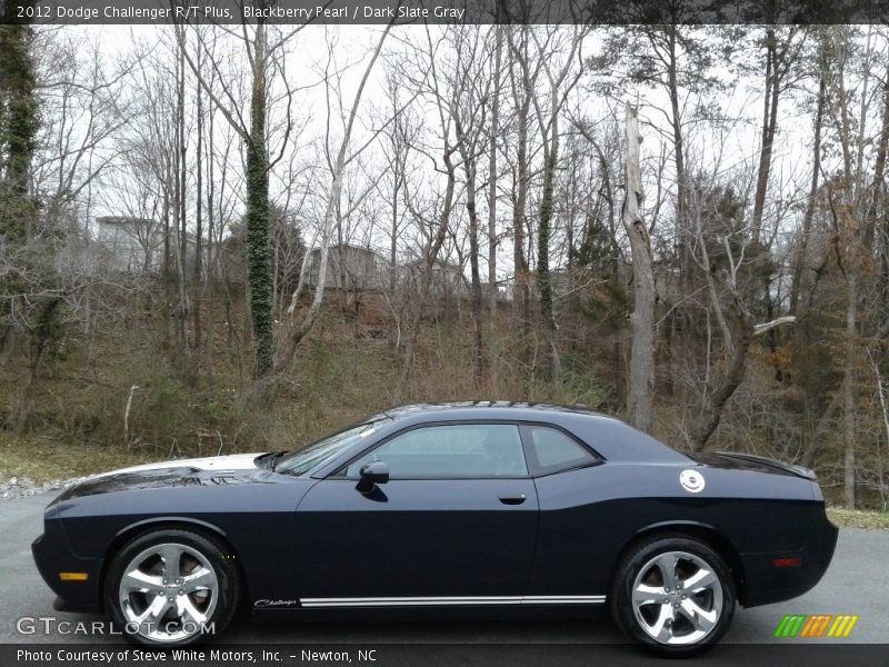 Blackberry Pearl / Dark Slate Gray 2012 Dodge Challenger R/T Plus