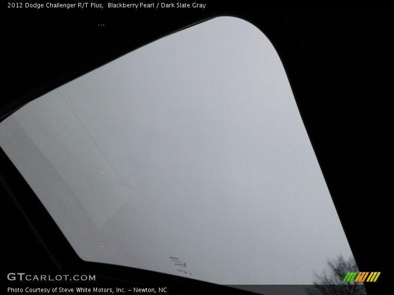 Blackberry Pearl / Dark Slate Gray 2012 Dodge Challenger R/T Plus