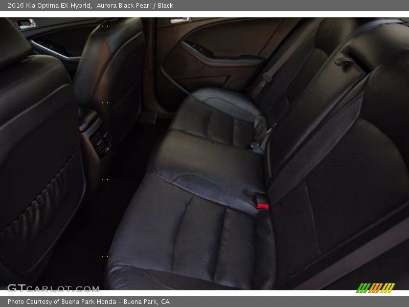 Rear Seat of 2016 Optima EX Hybrid