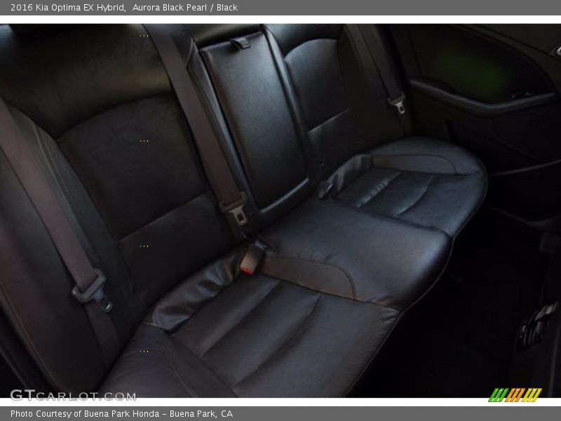 Rear Seat of 2016 Optima EX Hybrid