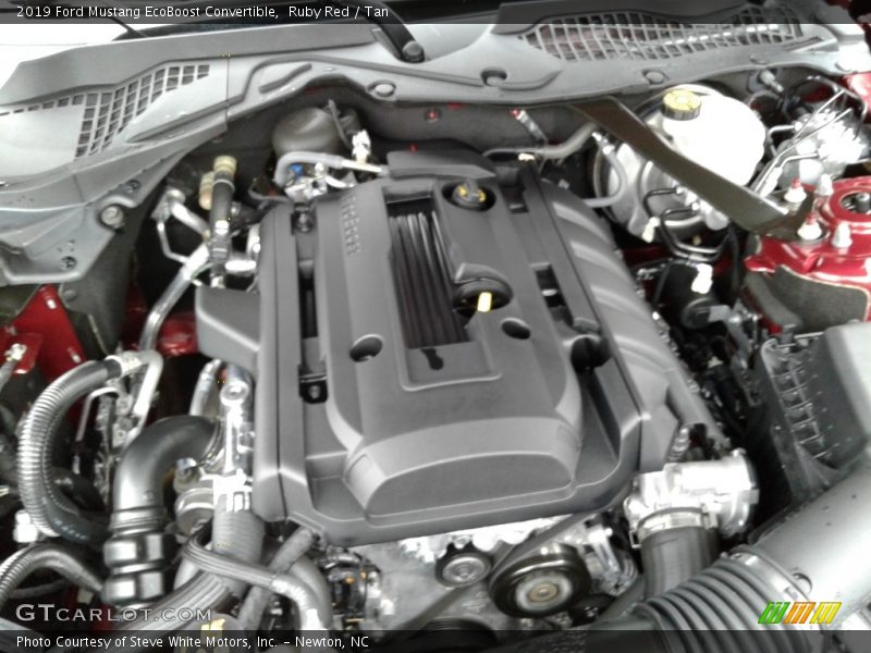 Ruby Red / Tan 2019 Ford Mustang EcoBoost Convertible