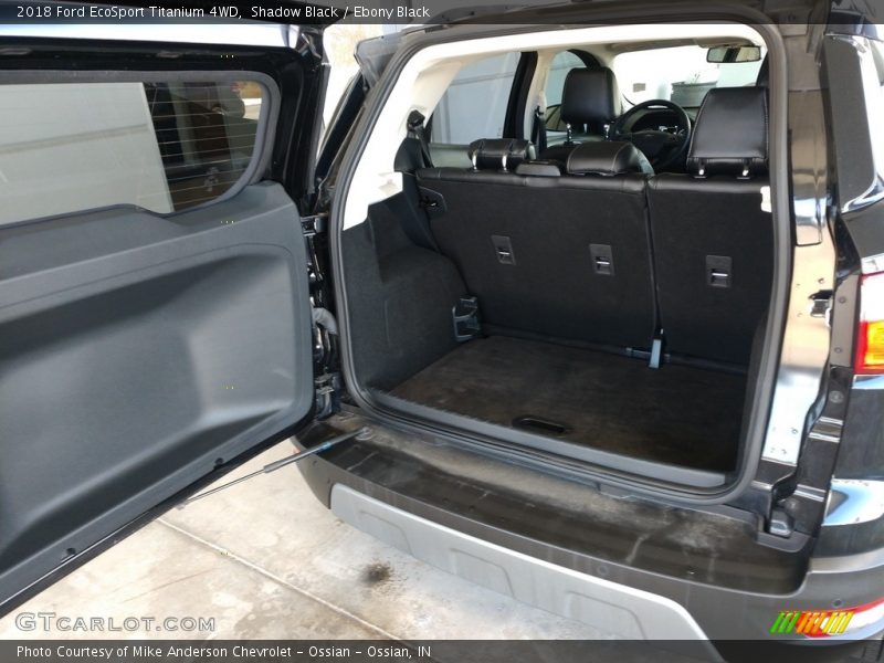 Shadow Black / Ebony Black 2018 Ford EcoSport Titanium 4WD