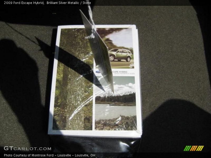 Brilliant Silver Metallic / Stone 2009 Ford Escape Hybrid