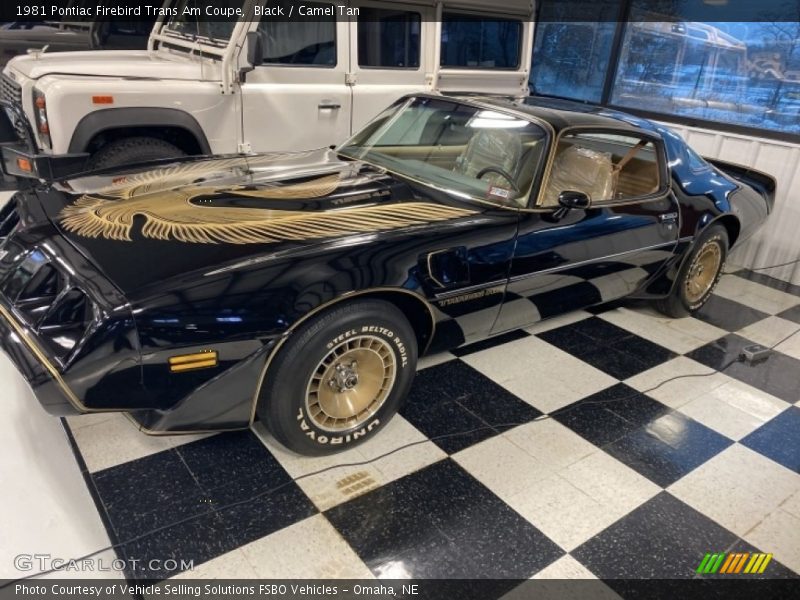 Front 3/4 View of 1981 Firebird Trans Am Coupe