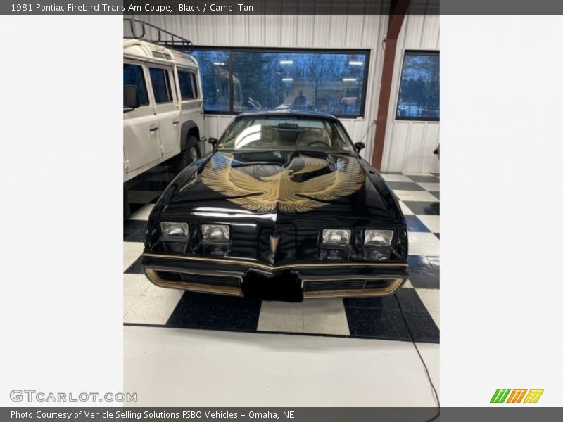  1981 Firebird Trans Am Coupe Black