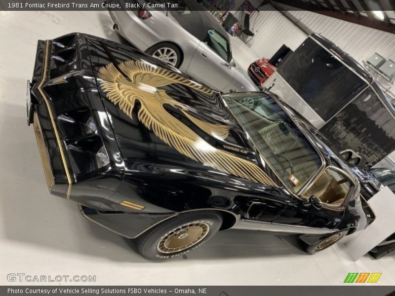  1981 Firebird Trans Am Coupe Black