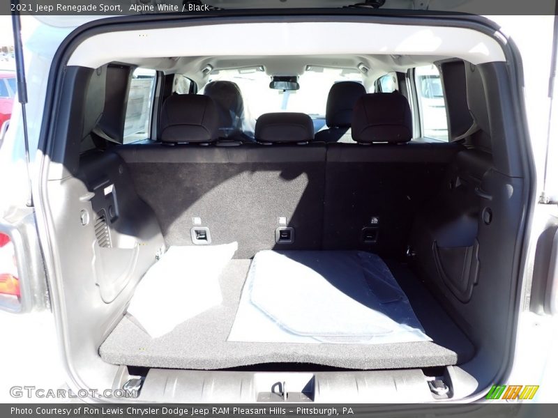 Alpine White / Black 2021 Jeep Renegade Sport