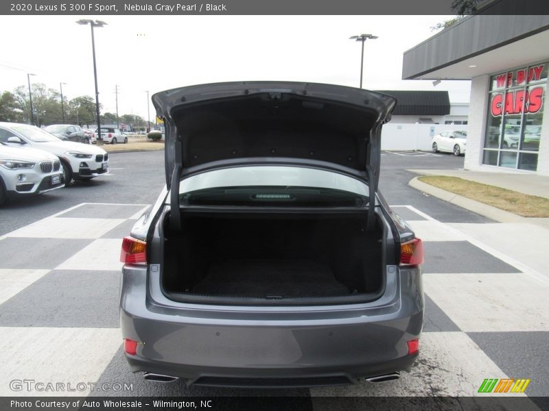 Nebula Gray Pearl / Black 2020 Lexus IS 300 F Sport