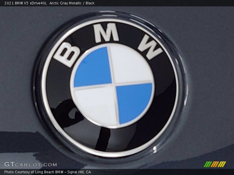 Arctic Gray Metallic / Black 2021 BMW X5 sDrive40i
