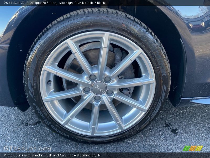 Moonlight Blue Metallic / Black 2014 Audi A4 2.0T quattro Sedan