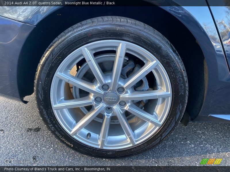 Moonlight Blue Metallic / Black 2014 Audi A4 2.0T quattro Sedan