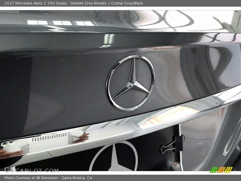 Selenite Grey Metallic / Crystal Grey/Black 2017 Mercedes-Benz C 300 Sedan
