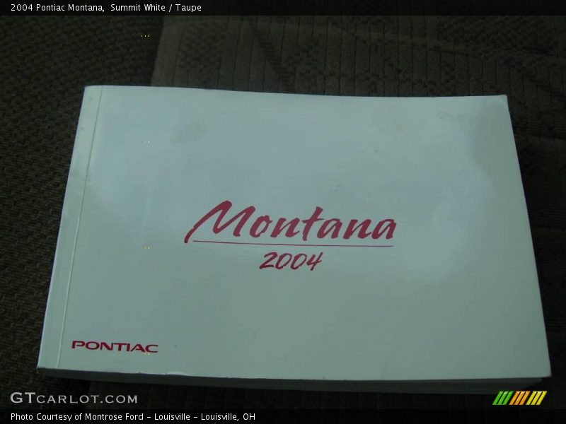 Summit White / Taupe 2004 Pontiac Montana