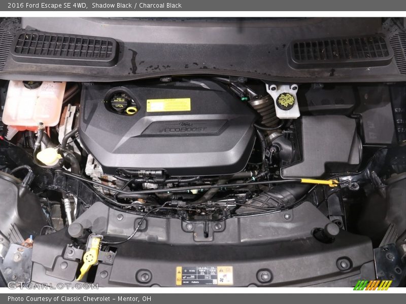 Shadow Black / Charcoal Black 2016 Ford Escape SE 4WD