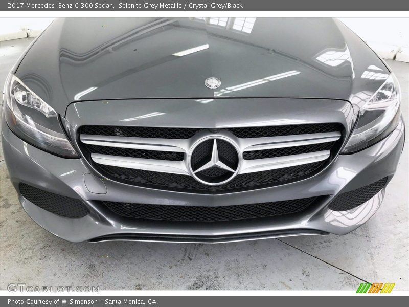 Selenite Grey Metallic / Crystal Grey/Black 2017 Mercedes-Benz C 300 Sedan