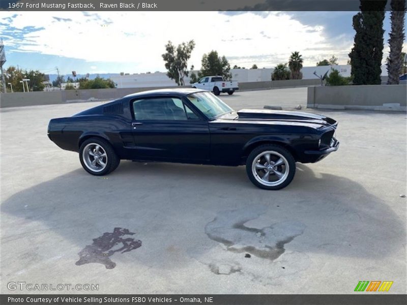 Raven Black / Black 1967 Ford Mustang Fastback