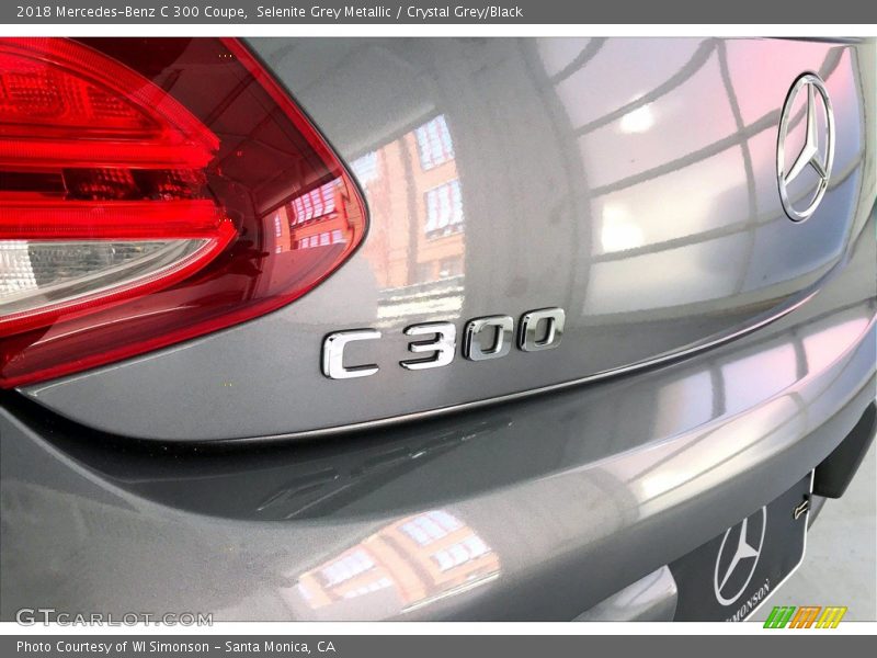 Selenite Grey Metallic / Crystal Grey/Black 2018 Mercedes-Benz C 300 Coupe