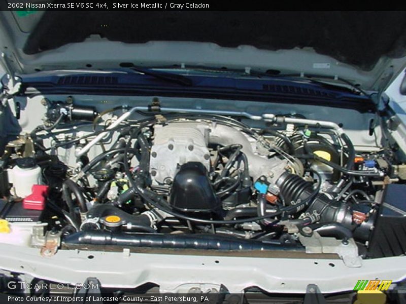Silver Ice Metallic / Gray Celadon 2002 Nissan Xterra SE V6 SC 4x4