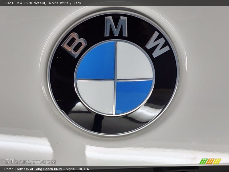 Alpine White / Black 2021 BMW X5 sDrive40i