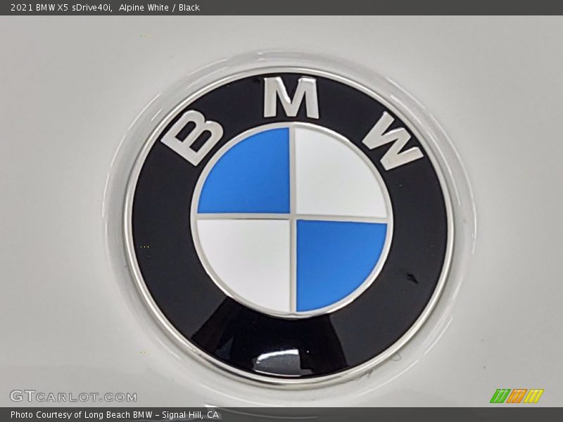 Alpine White / Black 2021 BMW X5 sDrive40i