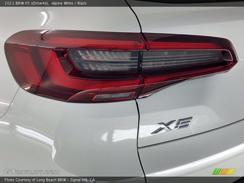 Alpine White / Black 2021 BMW X5 sDrive40i