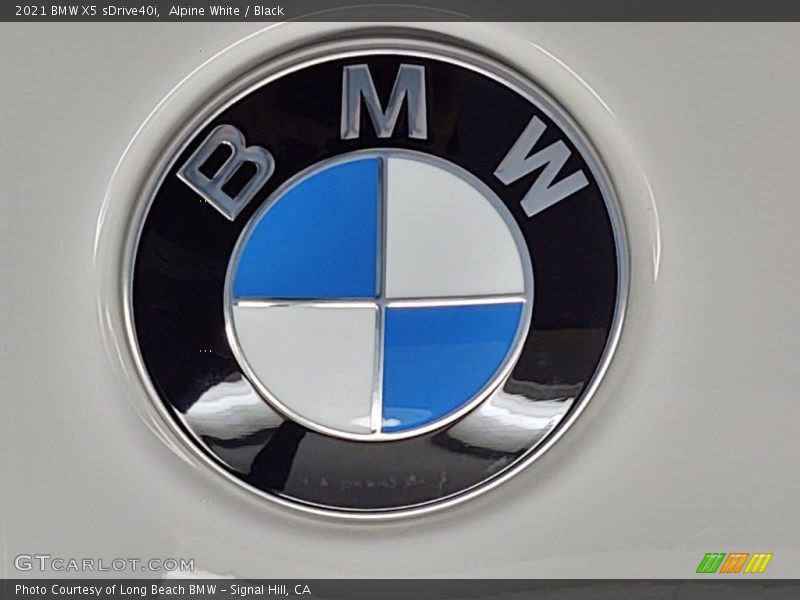 Alpine White / Black 2021 BMW X5 sDrive40i