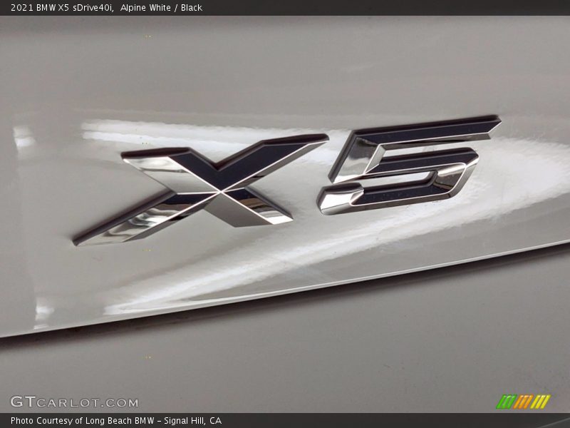 Alpine White / Black 2021 BMW X5 sDrive40i