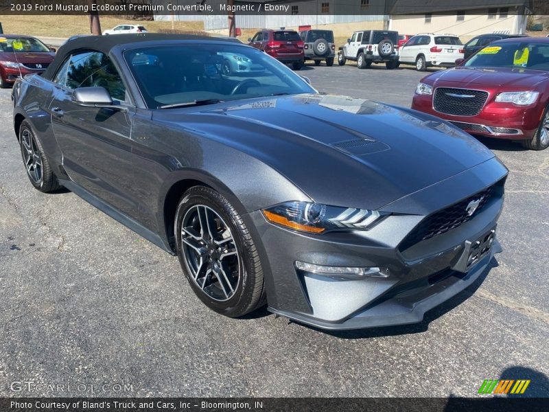 Magnetic / Ebony 2019 Ford Mustang EcoBoost Premium Convertible