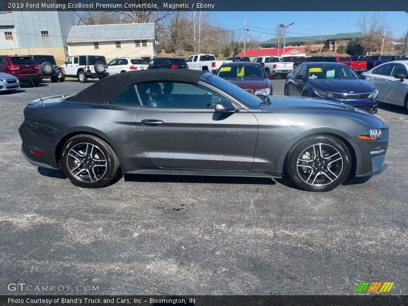 Magnetic / Ebony 2019 Ford Mustang EcoBoost Premium Convertible