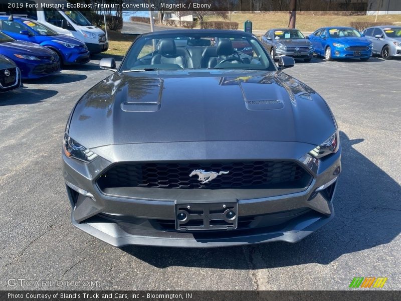 Magnetic / Ebony 2019 Ford Mustang EcoBoost Premium Convertible