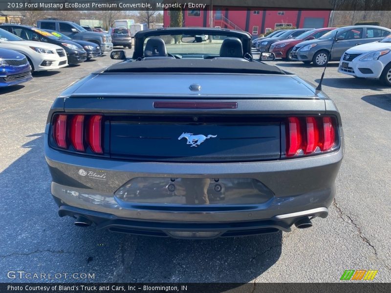 Magnetic / Ebony 2019 Ford Mustang EcoBoost Premium Convertible