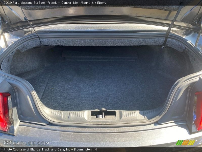 Magnetic / Ebony 2019 Ford Mustang EcoBoost Premium Convertible