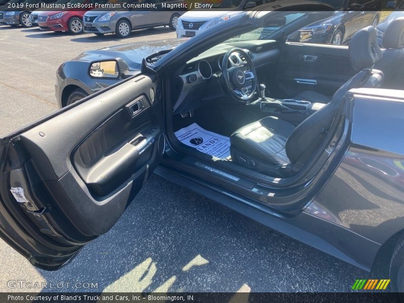 Magnetic / Ebony 2019 Ford Mustang EcoBoost Premium Convertible