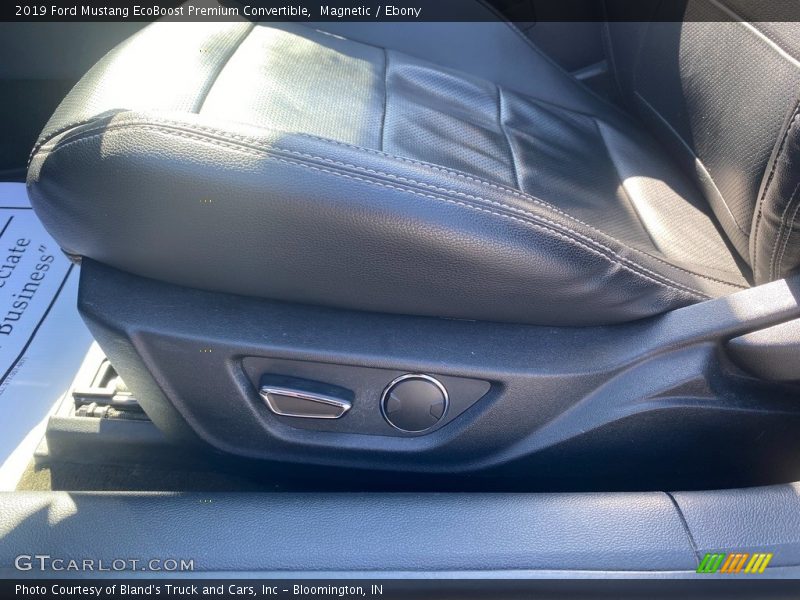 Magnetic / Ebony 2019 Ford Mustang EcoBoost Premium Convertible