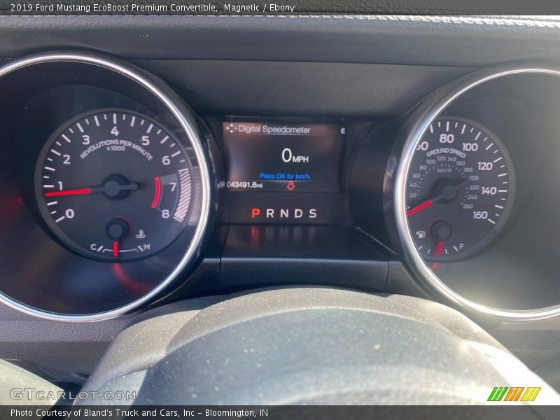 Magnetic / Ebony 2019 Ford Mustang EcoBoost Premium Convertible