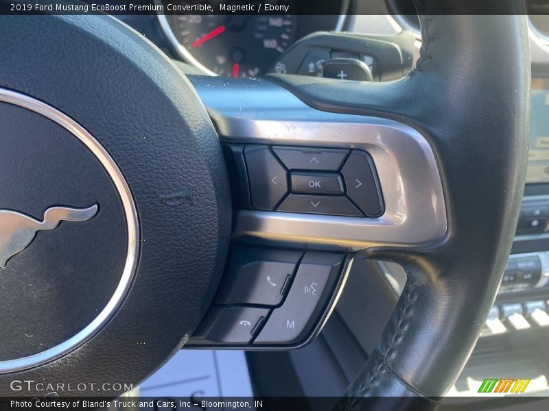 Magnetic / Ebony 2019 Ford Mustang EcoBoost Premium Convertible