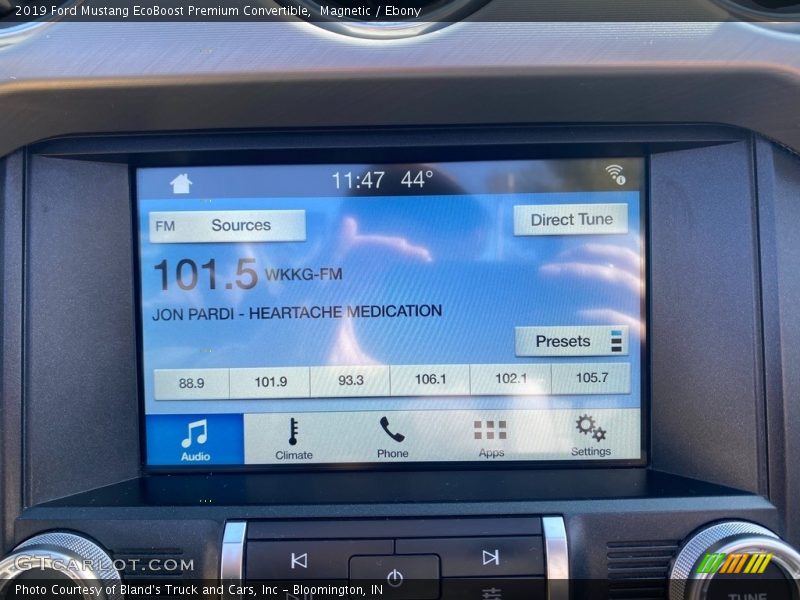 Magnetic / Ebony 2019 Ford Mustang EcoBoost Premium Convertible