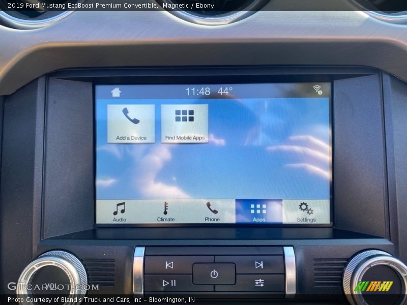 Magnetic / Ebony 2019 Ford Mustang EcoBoost Premium Convertible