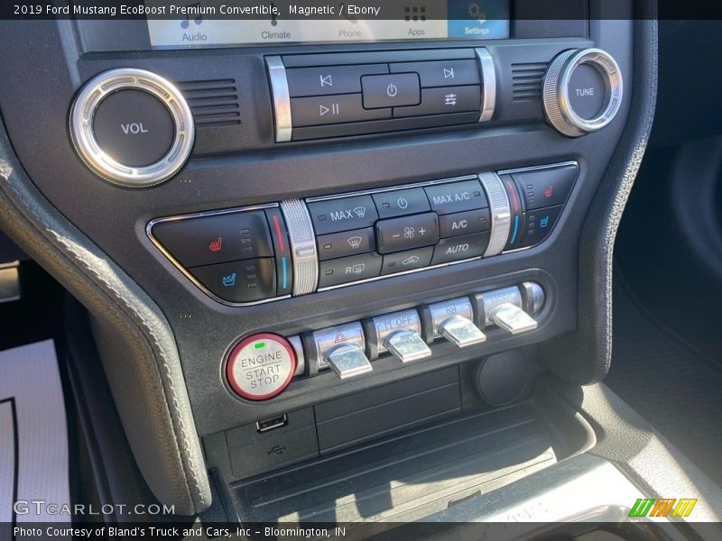 Magnetic / Ebony 2019 Ford Mustang EcoBoost Premium Convertible