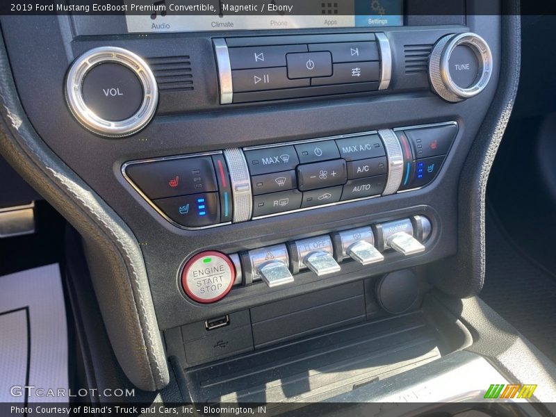 Magnetic / Ebony 2019 Ford Mustang EcoBoost Premium Convertible