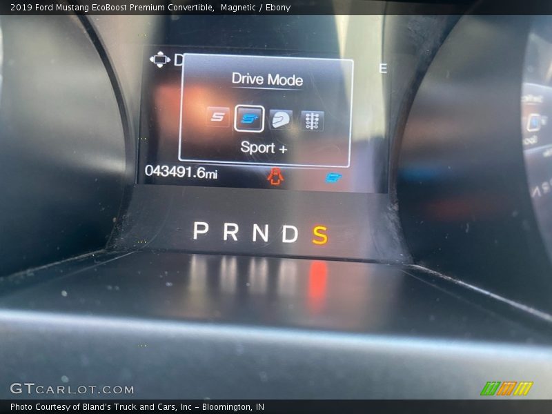Magnetic / Ebony 2019 Ford Mustang EcoBoost Premium Convertible