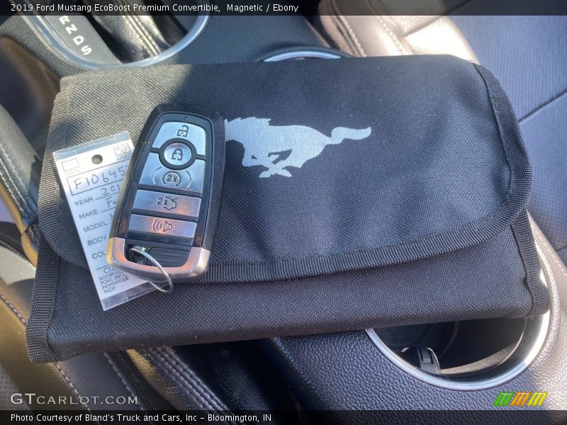 Magnetic / Ebony 2019 Ford Mustang EcoBoost Premium Convertible