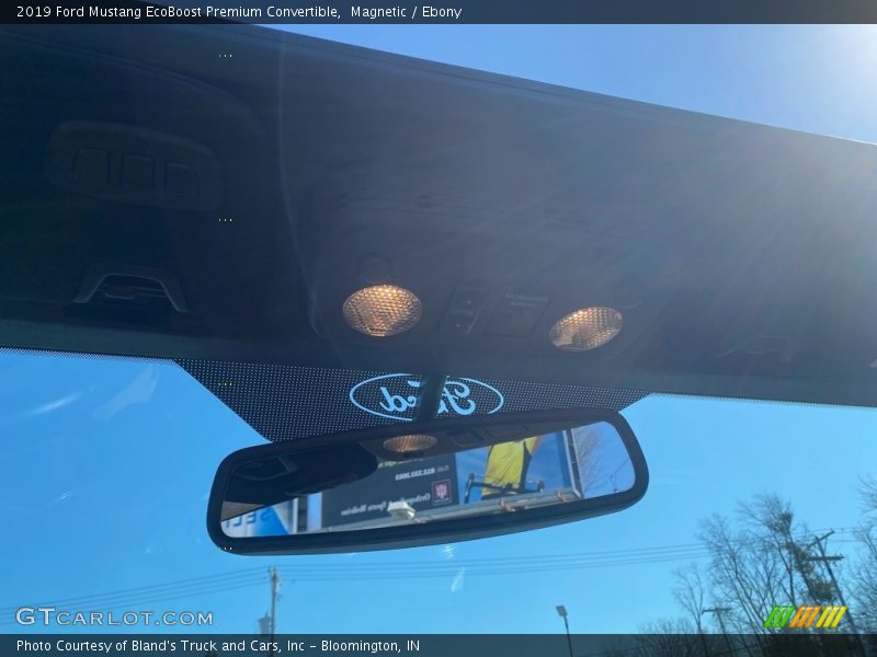Magnetic / Ebony 2019 Ford Mustang EcoBoost Premium Convertible