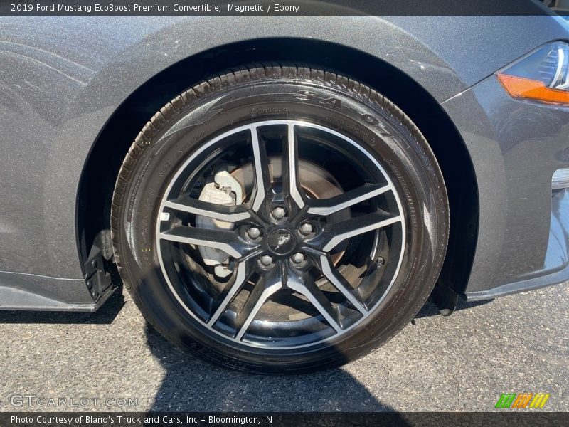 Magnetic / Ebony 2019 Ford Mustang EcoBoost Premium Convertible