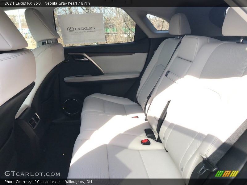 Nebula Gray Pearl / Birch 2021 Lexus RX 350